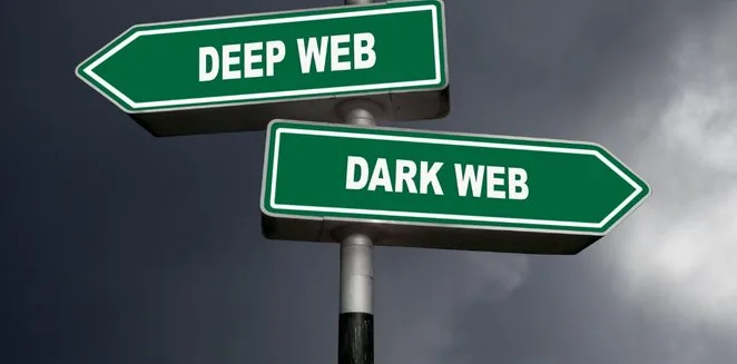 Exploring the Hidden Depths of the Internet Understanding the Deep Web