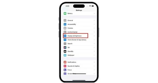 Tap Display & Brightness.