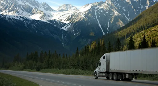 The Role of Fleet Cameras in Privacy Protection and Cyber Risk Management